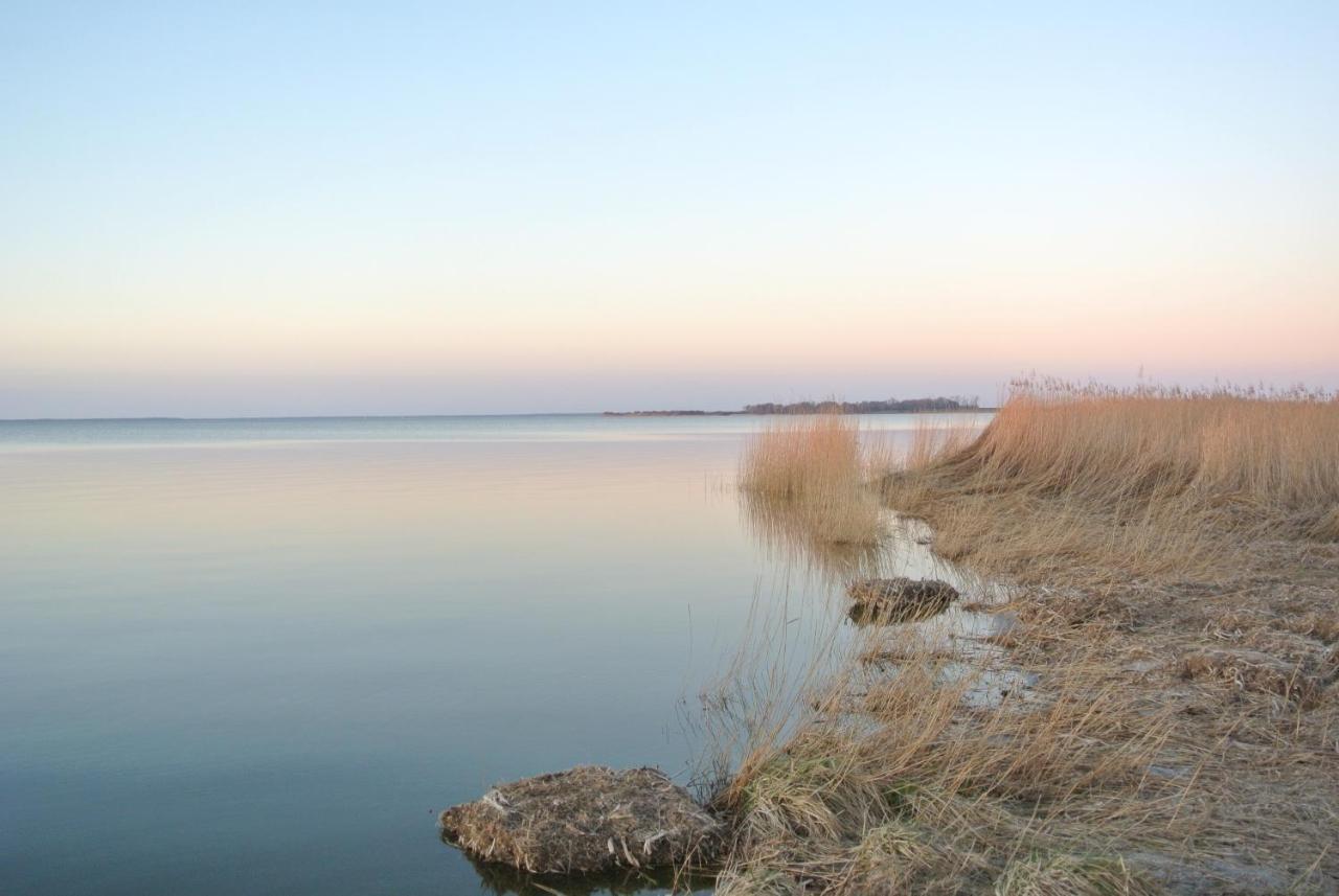 Fischlandinsicht Lägenhet Ribnitz-Damgarten Exteriör bild